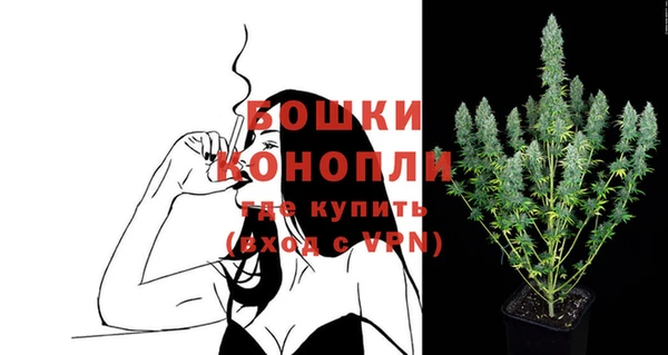 дживик Белоозёрский