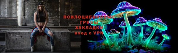спайс Белокуриха