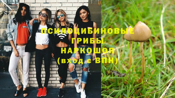 дживик Белоозёрский