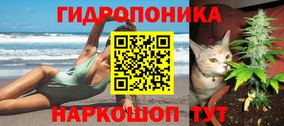 сатива Бийск