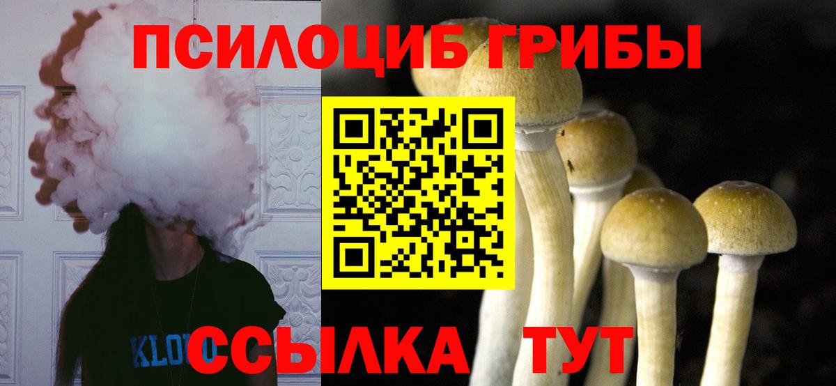 Галлюциногенные грибы мицелий Горно-Алтайск