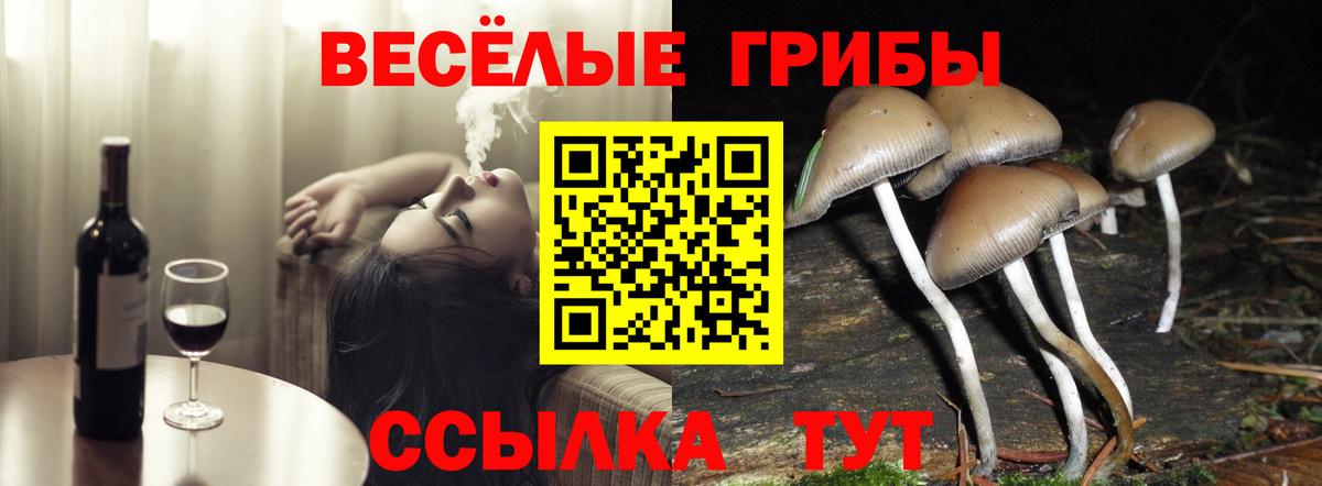 Галлюциногенные грибы Cubensis Горно-Алтайск