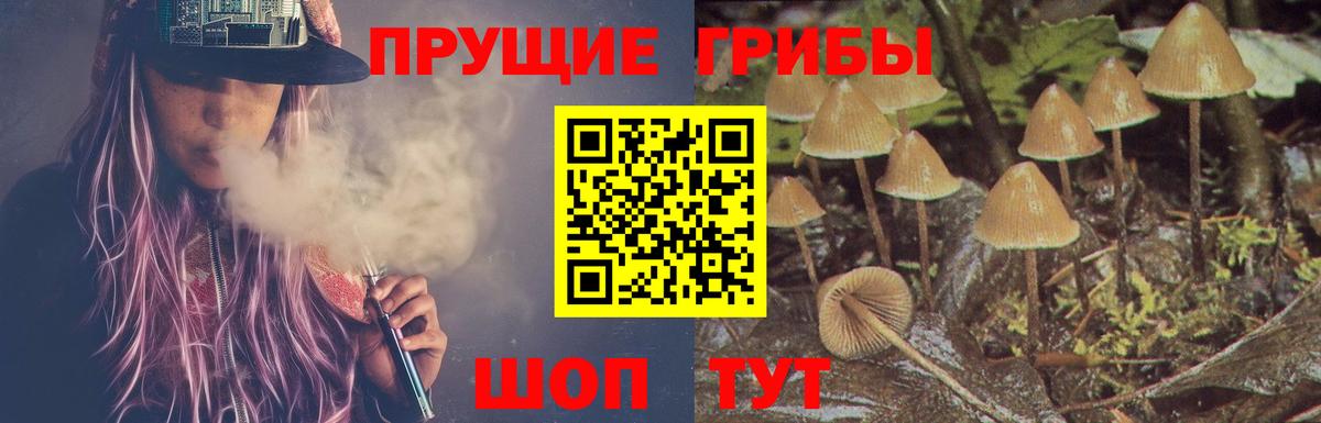 где купить наркоту  Псилоцибиновые грибы Magic Shrooms  Вход с VPN  Галлюциногенные грибы прущие грибы  Горно-Алтайск 