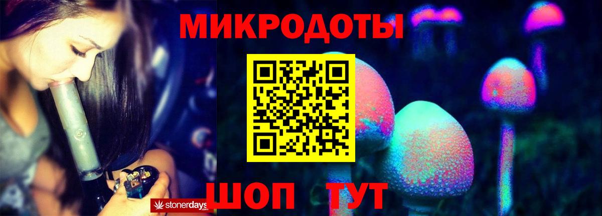 Псилоцибиновые грибы прущие грибы  Горно-Алтайск 